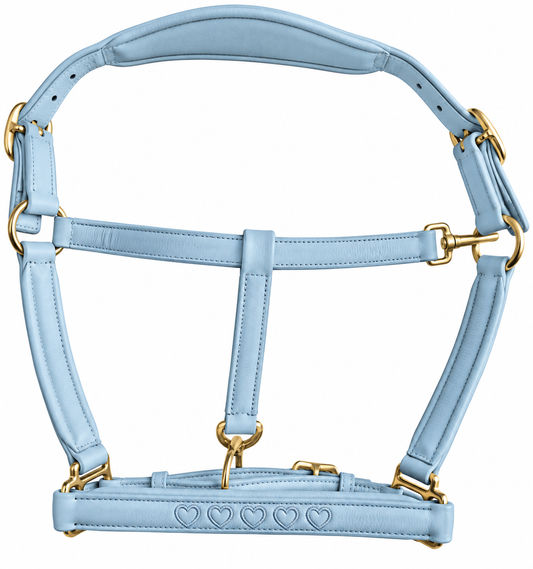 Valentina Heart Stitched Leather Headcollar