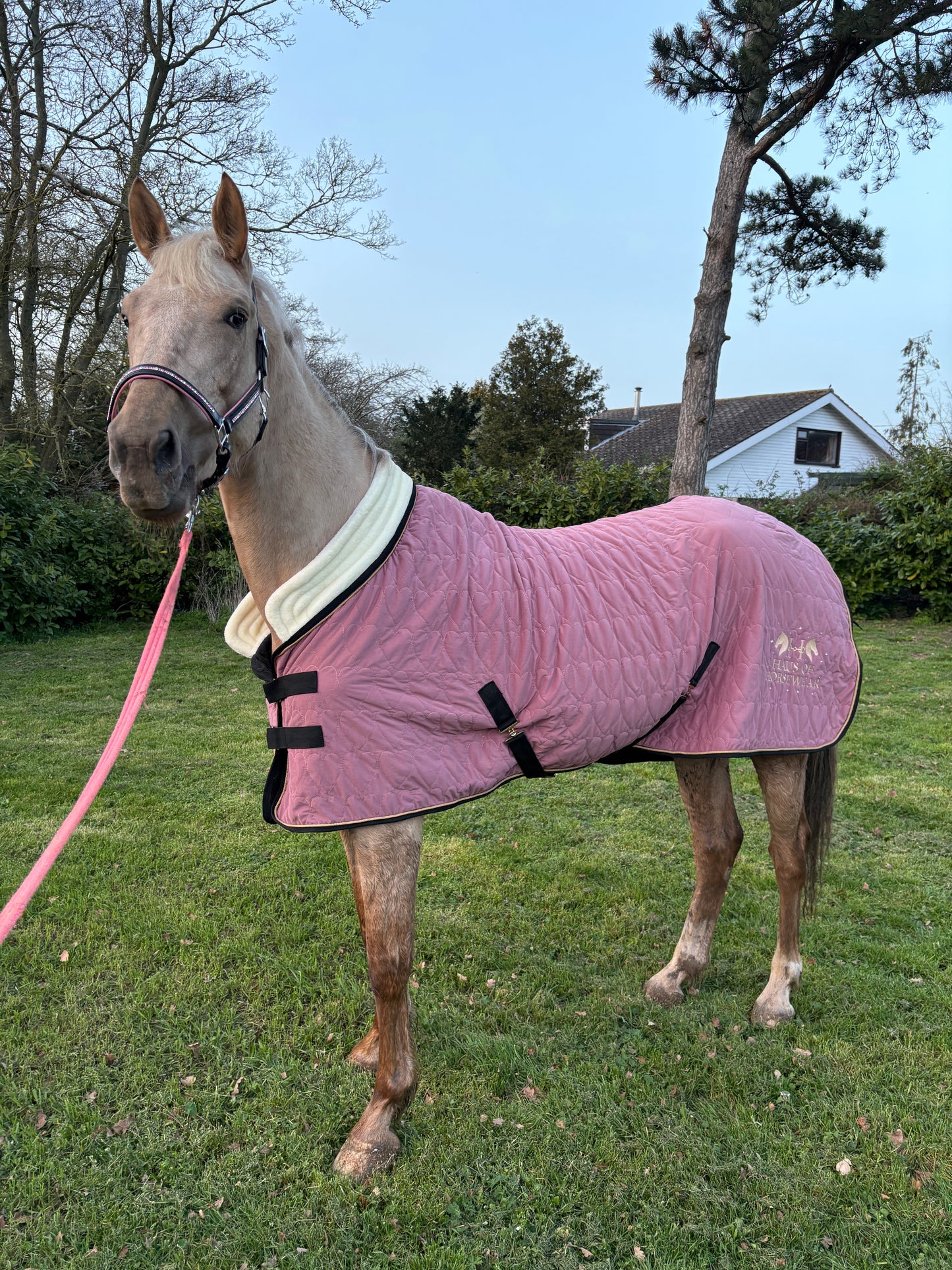 Haus of Horsewear Luxury Velvet Heart Show Rug