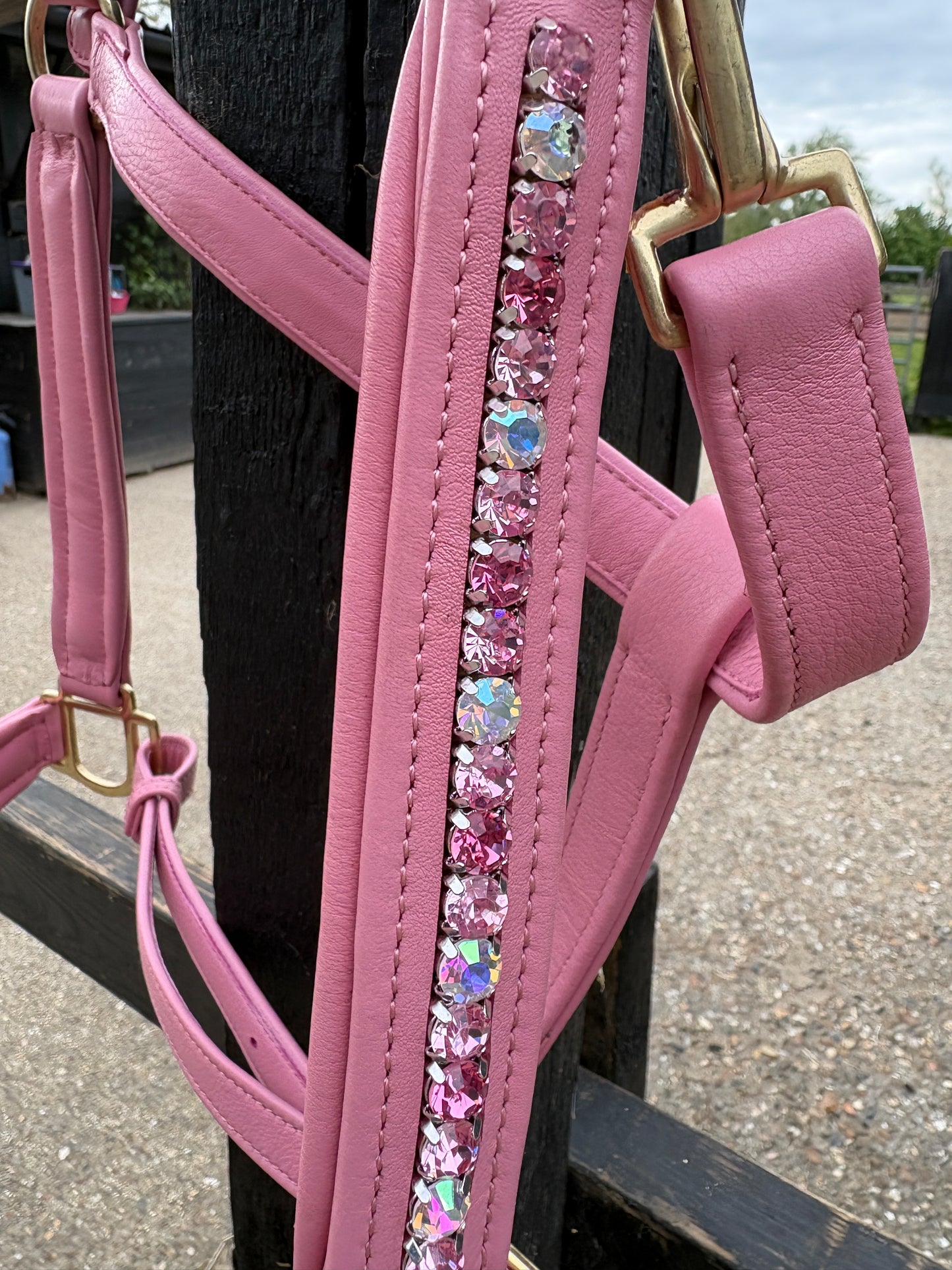 Signature Pink Leather Crystal Headcollar