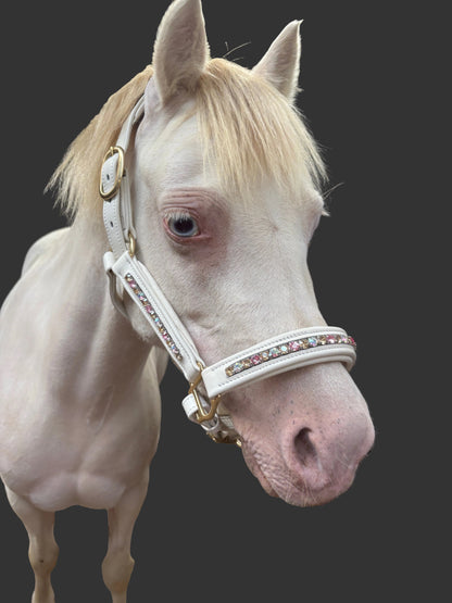 Signature Leather Crystal Headcollar