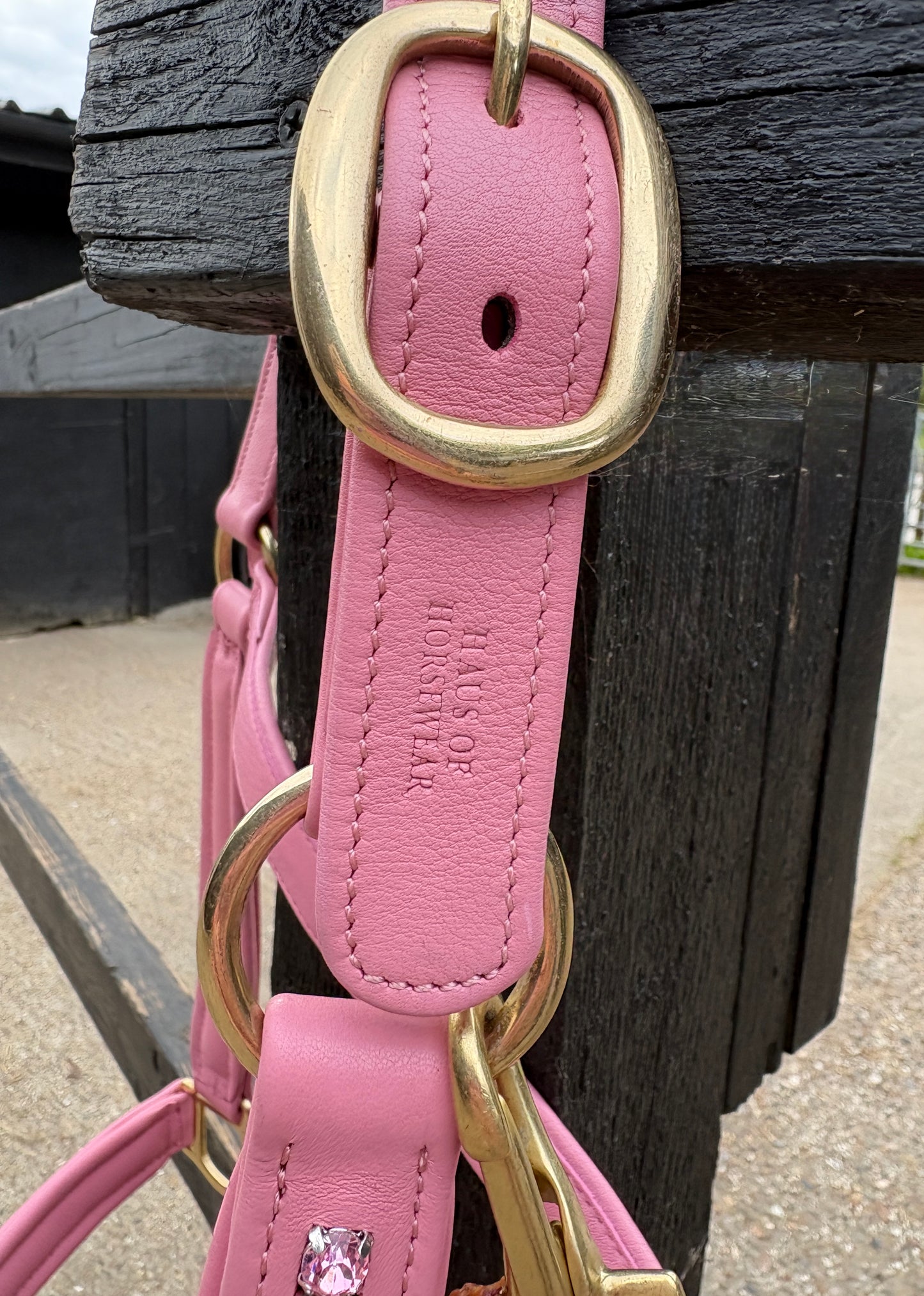 Signature Pink Leather Crystal Headcollar