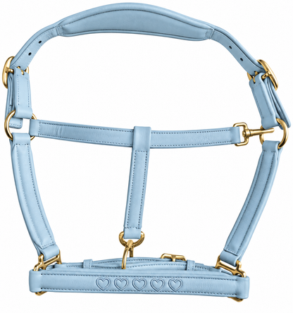 Valentina Heart Stitched Leather Headcollar