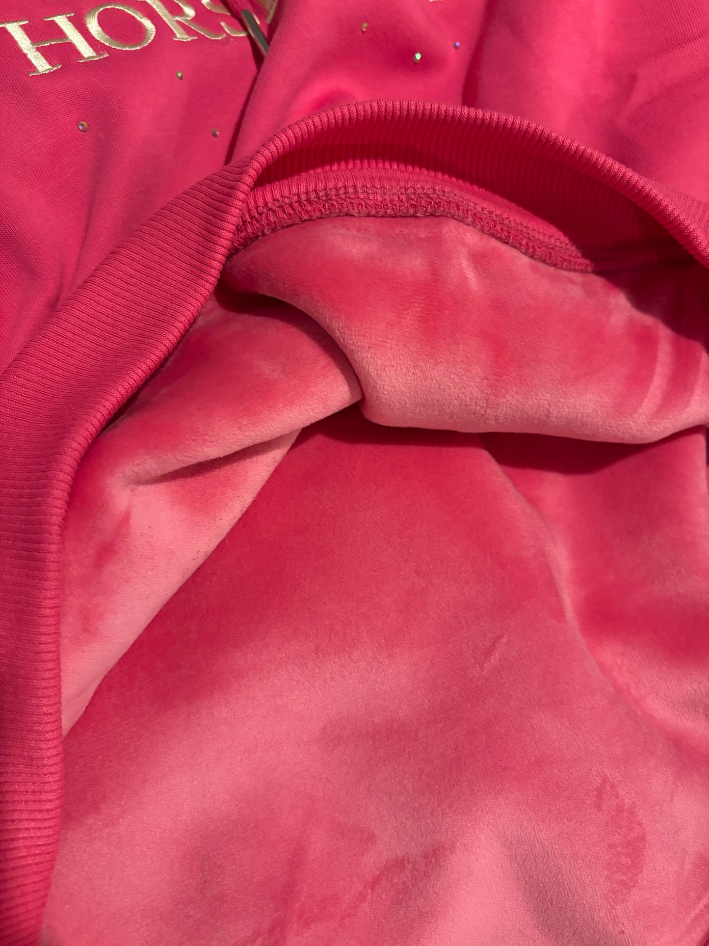 Haus of Horsewear Faux Fur Lined Logo Hoody