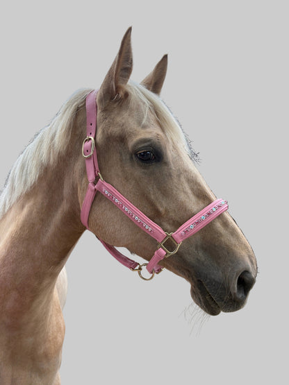 Signature Pink Leather Crystal Headcollar