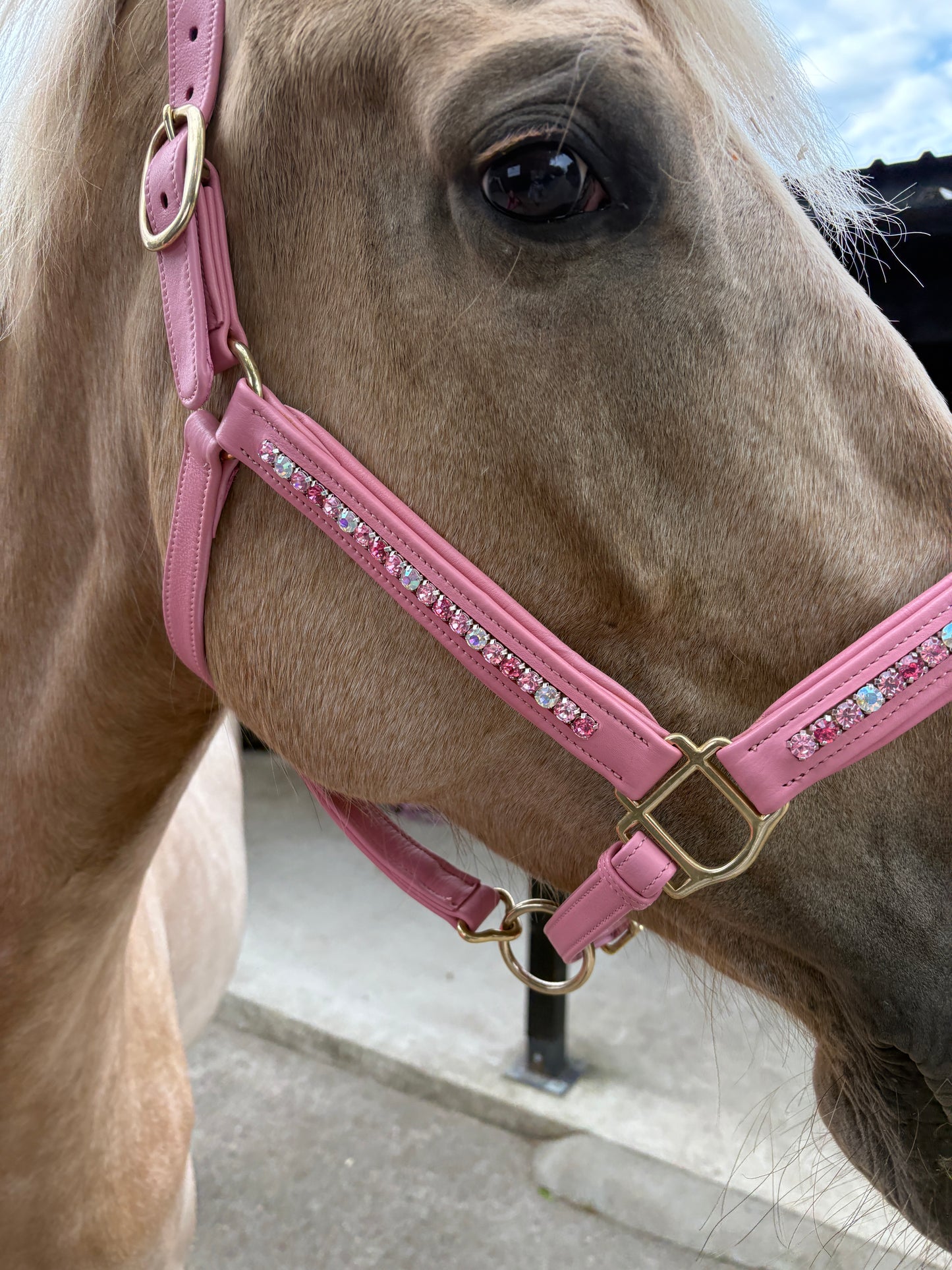 Signature Pink Leather Crystal Headcollar