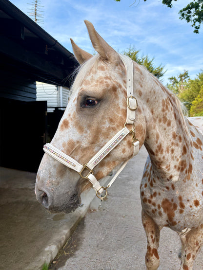Signature Leather Crystal Headcollar